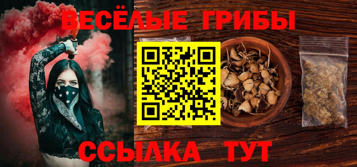 Шарыпово  Галлюциногенные грибы MAGIC MUSHROOMS  Псилоцибиновые грибы Magic Shrooms  Вход с VPN 